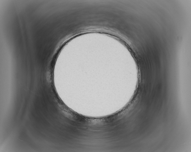 X0000111651501200908281039