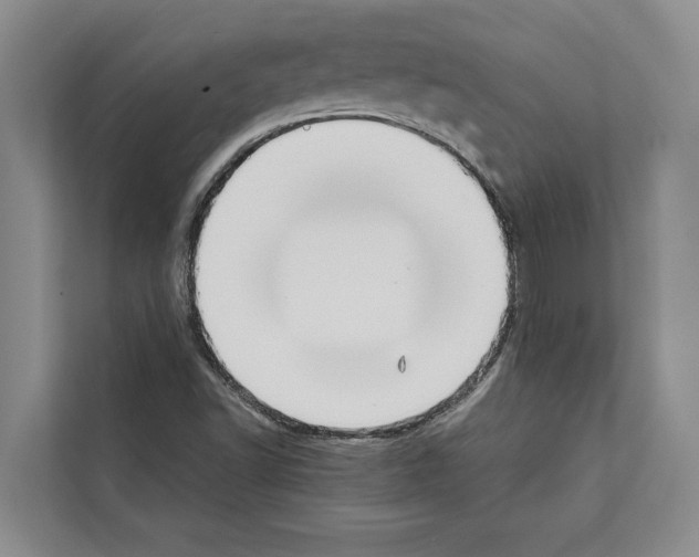 X0000111651502200908281039