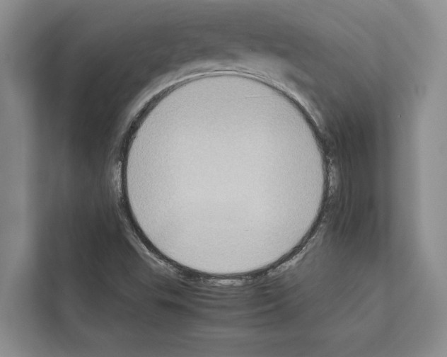 X0000111651503200908281039
