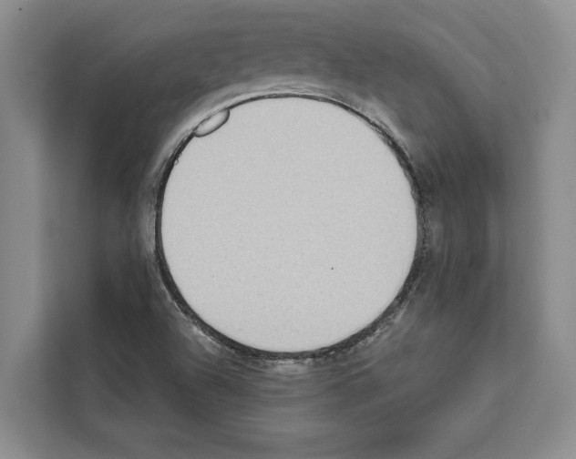 X0000111651504200908281039