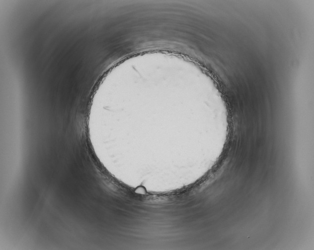 X0000111651505200908281039