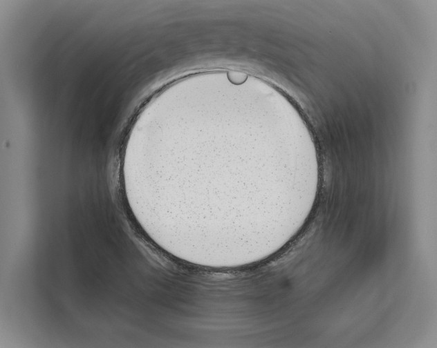 X0000111651507200908281039