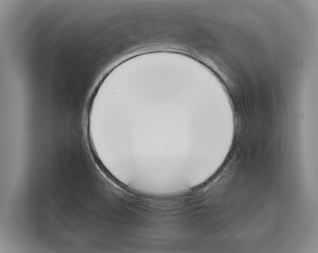 X0000111651508200908281039