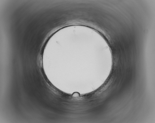 X0000111651509200908281039