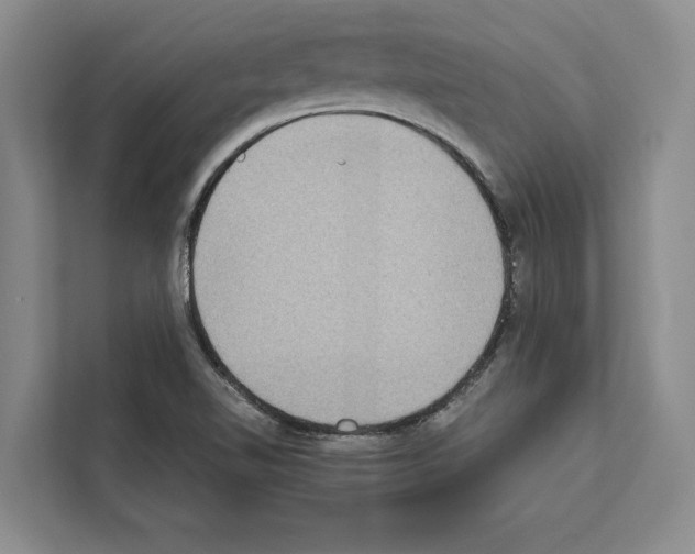 X0000111651510200908281039