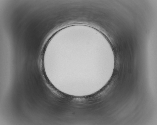X0000111651511200908281039
