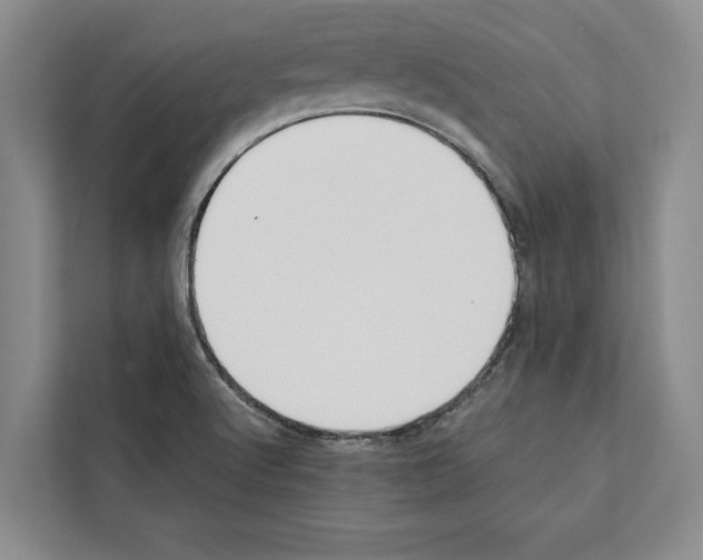 X0000111651512200908281039
