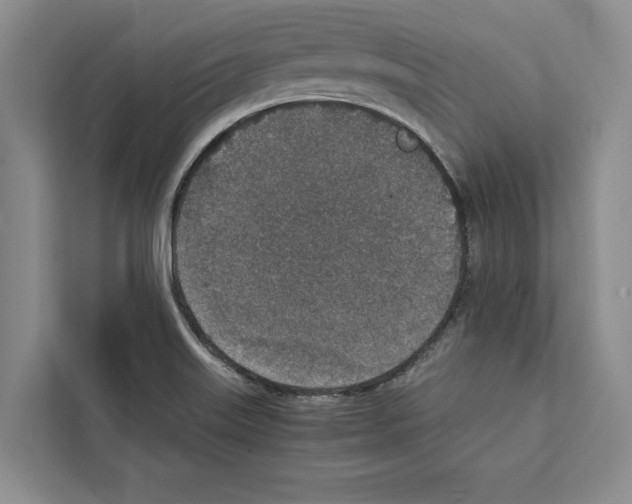 X0000111651515200908281039