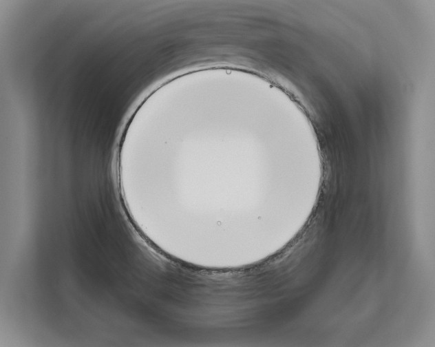 X0000111651516200908281039
