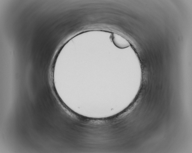 X0000111651517200908281039