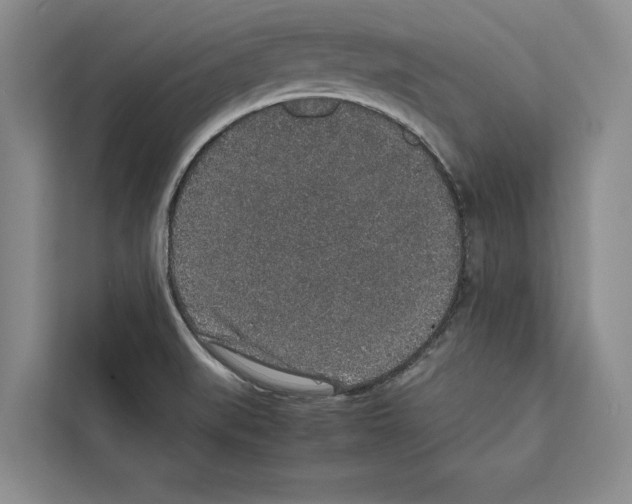 X0000111651519200908281039