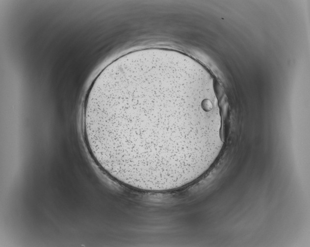 X0000111651520200908281039