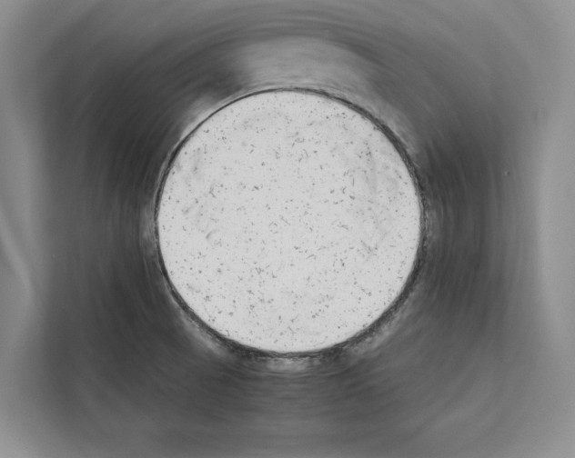 X0000111651521200908281039