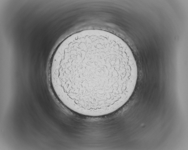 X0000111651522200908281039