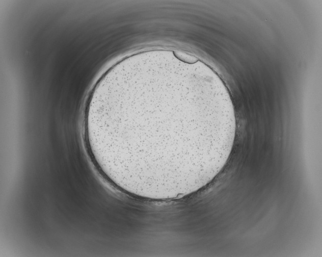 X0000111651523200908281039