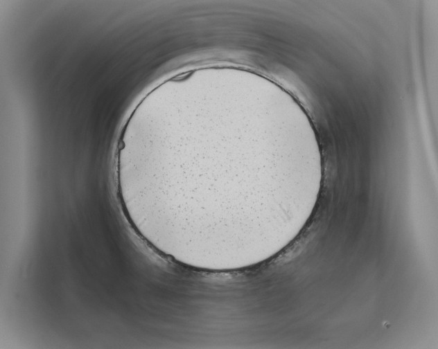 X0000111651524200908281039