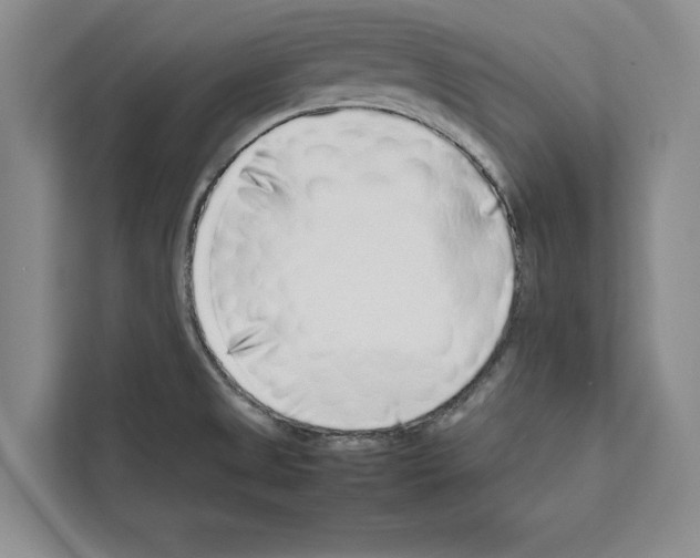 X0000111651525200908281039
