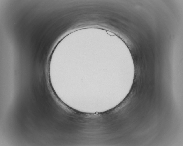 X0000111651526200908281039