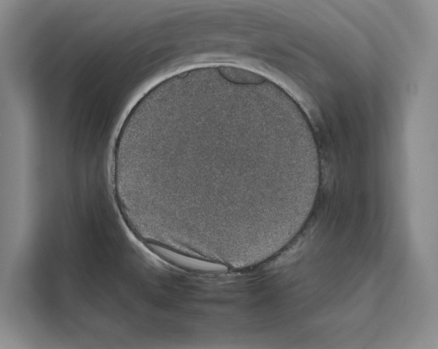 X0000111651527200908281039