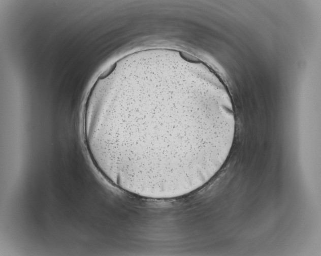 X0000111651528200908281039
