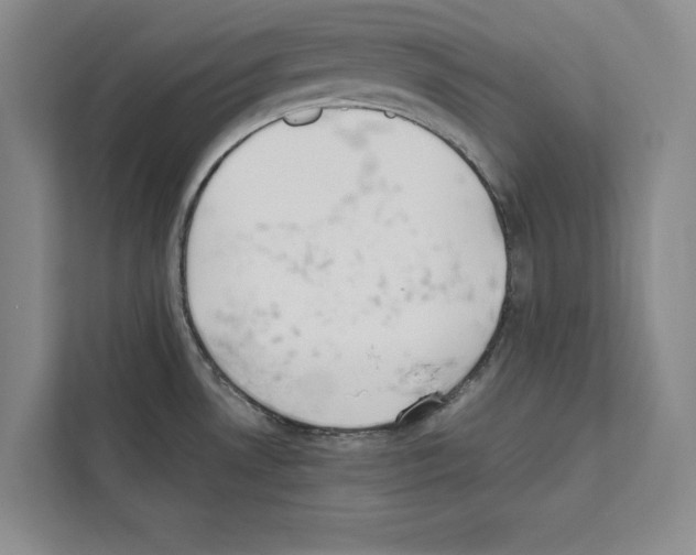 X0000111651530200908281039