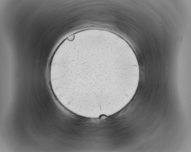 X0000111651531200908281039