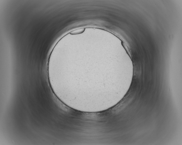 X0000111651532200908281039