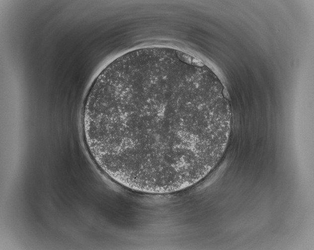 X0000111651533200908281039