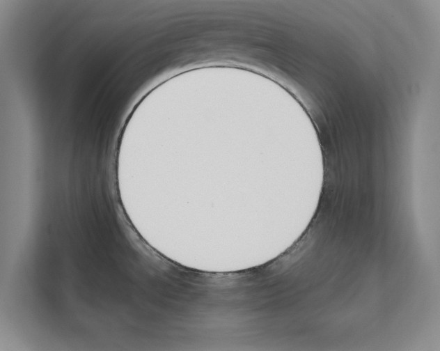 X0000111651534200908281039