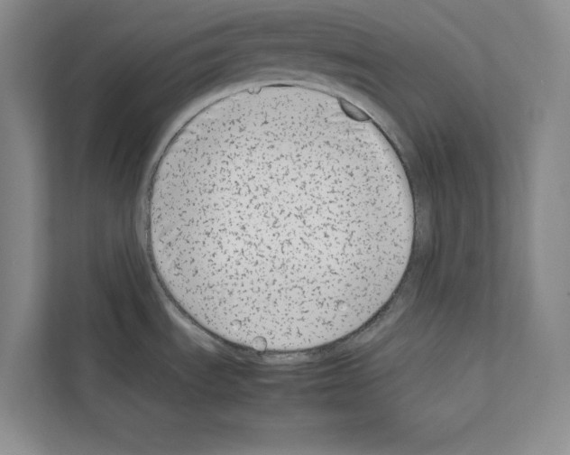 X0000111651535200908281039