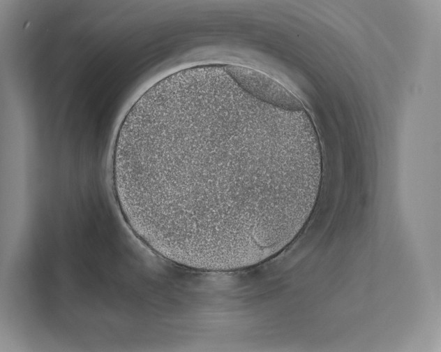 X0000111651536200908281039