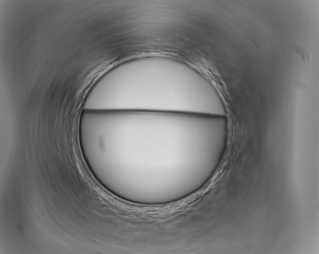 X0000111660001200907171129