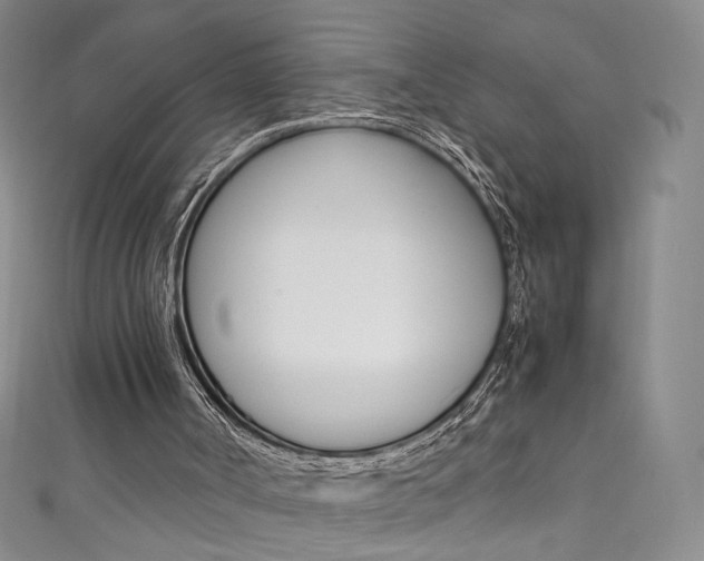 X0000111660002200907171129