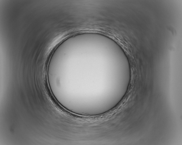X0000111660005200907171129