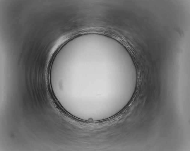 X0000111660006200907171129