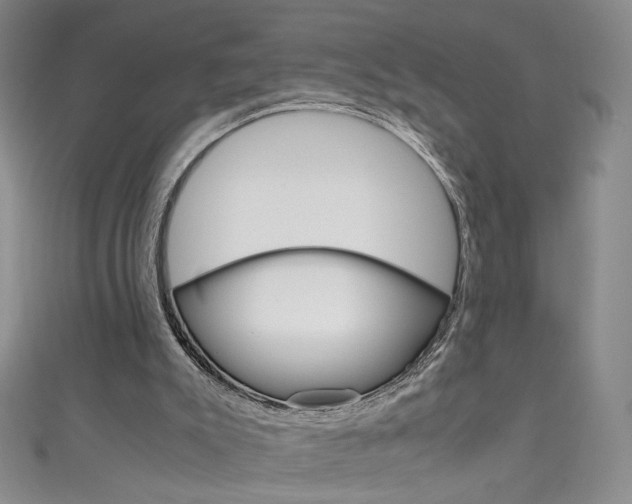 X0000111660007200907171129