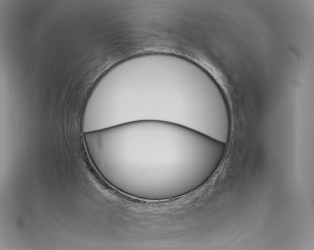 X0000111660009200907171129