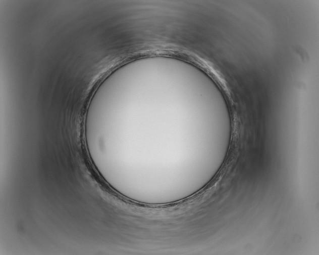 X0000111660010200907171129