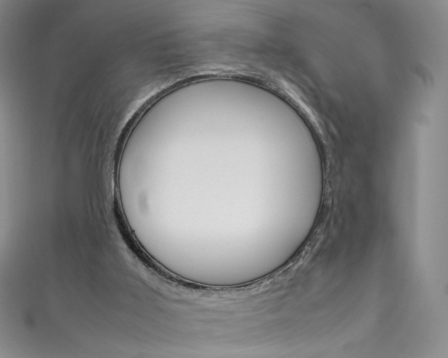 X0000111660011200907171129