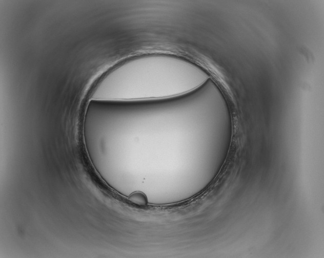 X0000111660012200907171129