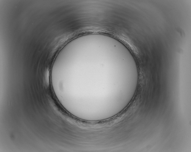X0000111660014200907171129