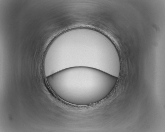 X0000111660015200907171129