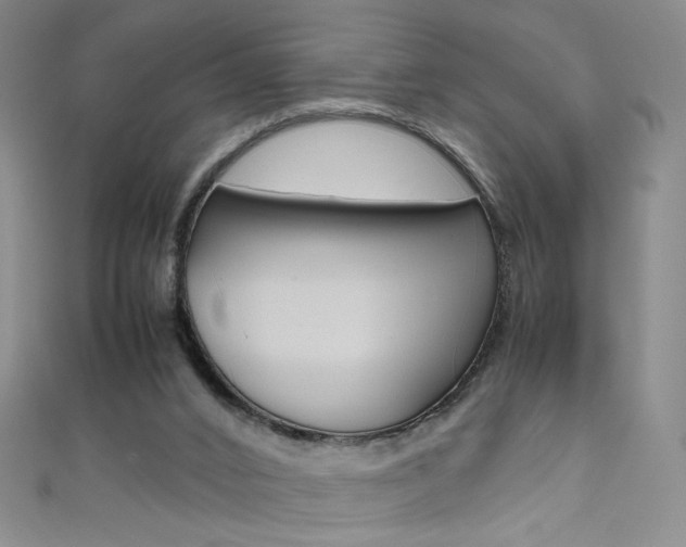 X0000111660016200907171129