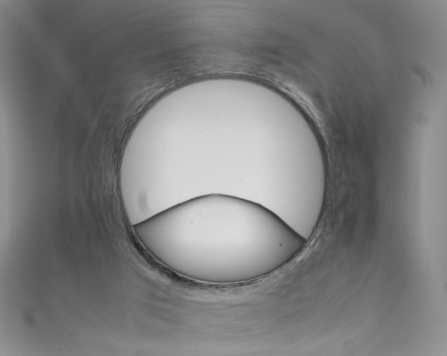 X0000111660017200907171129