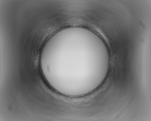 X0000111660018200907171129