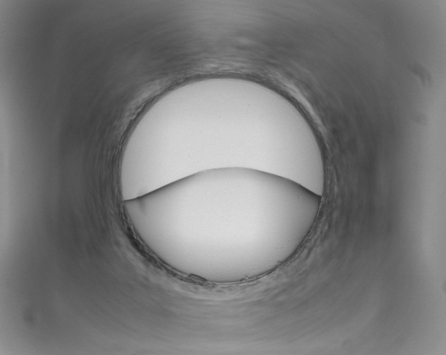 X0000111660019200907171129
