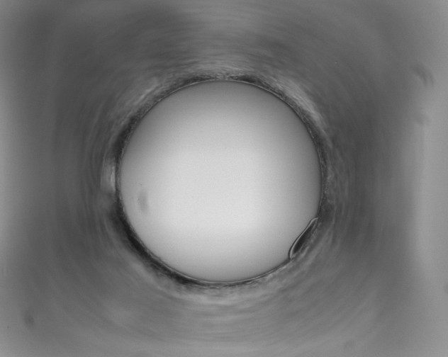 X0000111660021200907171129