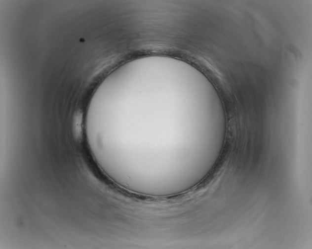 X0000111660024200907171129