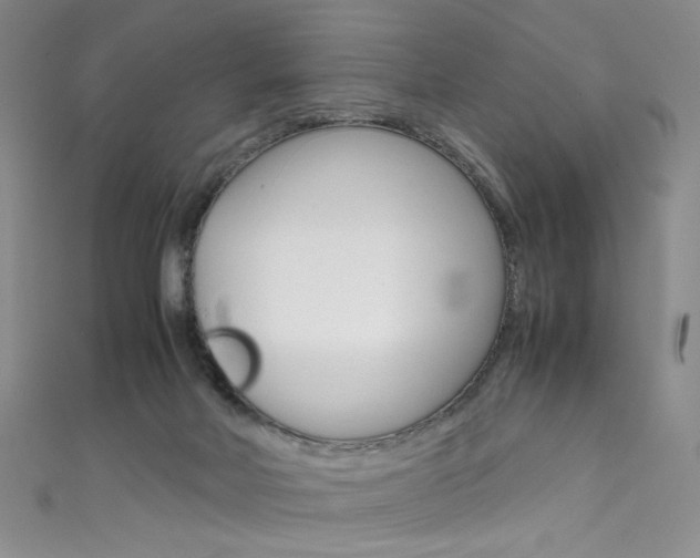 X0000111660026200907171129