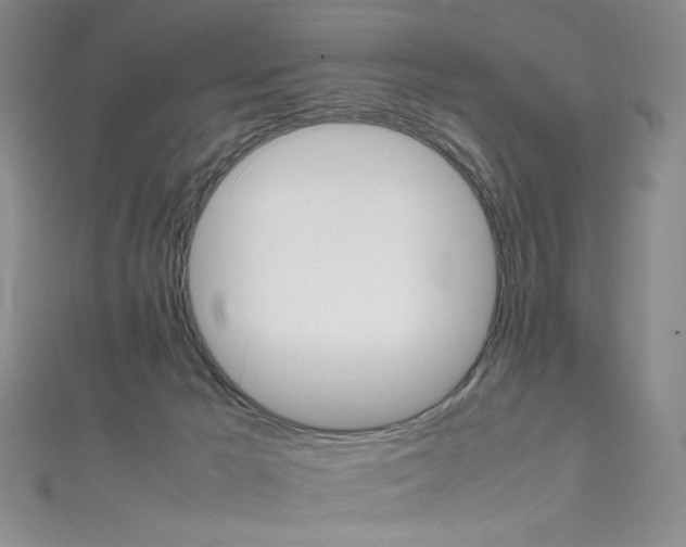 X0000111660029200907171129